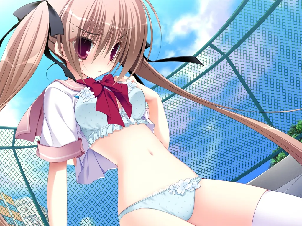 妹調教日記~ 妹调教日记 こんなツンデレが俺の妹なわけない!〜 PC+ONS+安卓直装版本 gal类型