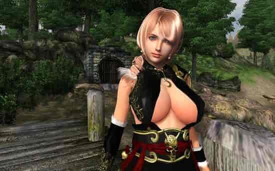 [老滚系列 / 整合完整版] 上古卷轴 5 星黎 SamuRai Ver3.1 完整整合版 适配 PC / 角色扮演类 萌新推荐 含全美化与战斗特化