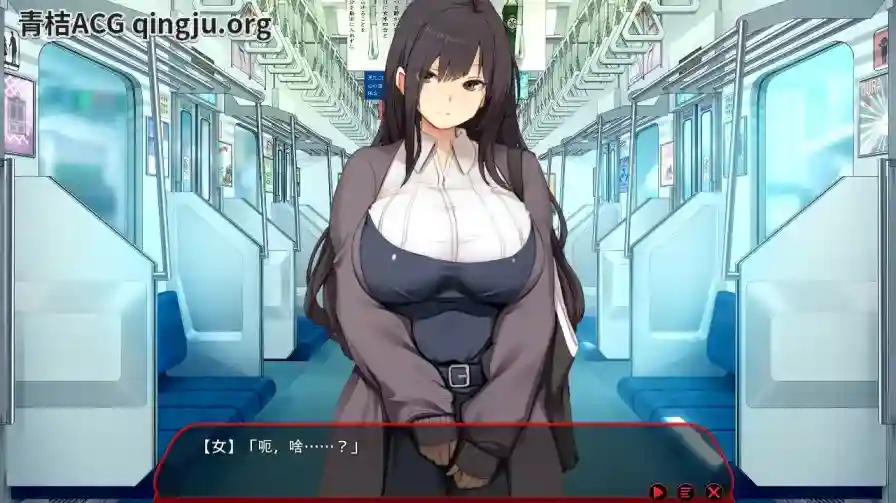 《满车率300%≒／満車率300% 3≒Append.1 鉄板ギャル御乗車ぱっち+DLC1》PC版体验报告