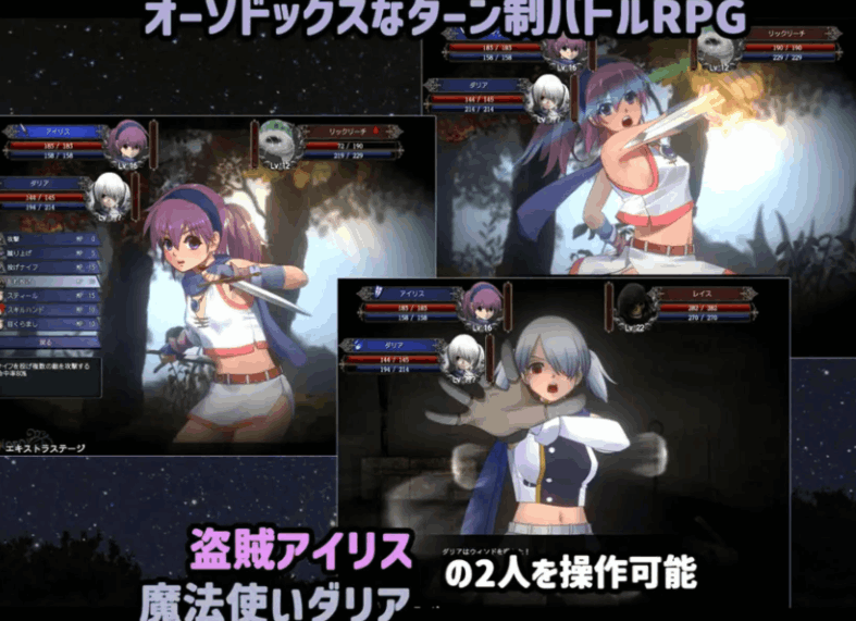 《伊莉丝编年史》PC异种RPG动态战斗CG版｜完整精翻汉化+全CG存档+攻略图片-1