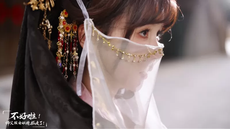 不好啦！师父被女妖精抓走了！/SIFU Kidnapped! Adventure in the Women’s Kingdom PC版 横版动作解谜冒险 高清2K重制版